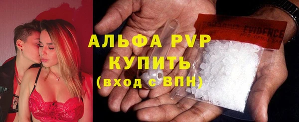 стафф Заволжье