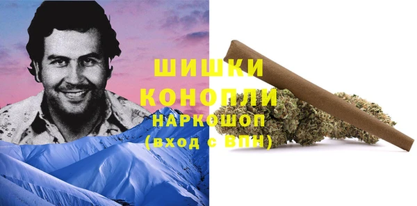 стафф Заволжье