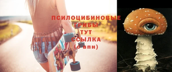 таблы Заводоуковск