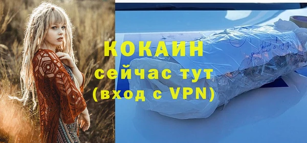 ПСИЛОЦИБИНОВЫЕ ГРИБЫ Зеленодольск