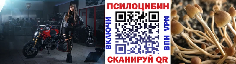 Галлюциногенные грибы GOLDEN TEACHER  Купить закладки  Родники 